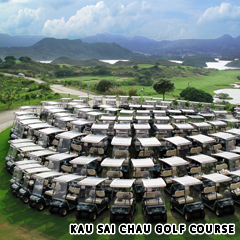 Golf cart fleet