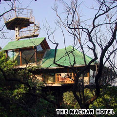 The Machan Hotel