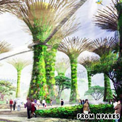 Gardens By the Bay Project super trees